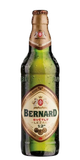 Bernard Světlý Ležák