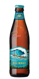 Big Wave