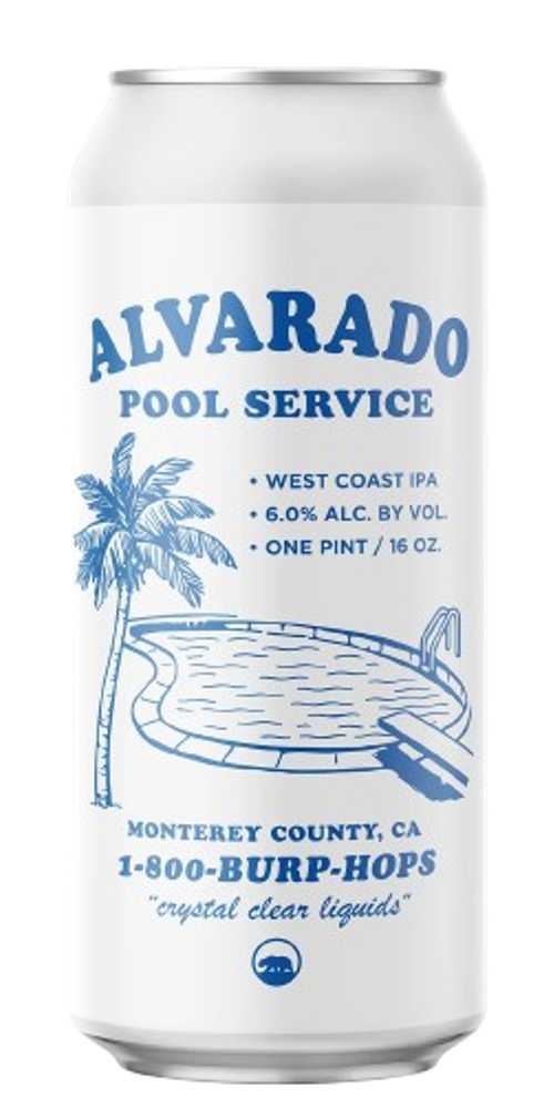 Pool Service