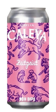 Zeitgeist DDH DIPA